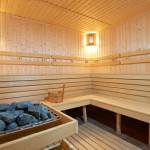 Das Herzstück der Sauna - Saunaöfen